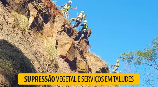 Supressão vegetal e serviços em taludes