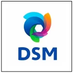 dsm.webp
